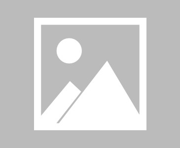 【瑞典超】埃尔夫斯堡vs赫根比赛结果：埃尔夫斯堡(0-2)赫根比分战报(2025年07月06日)